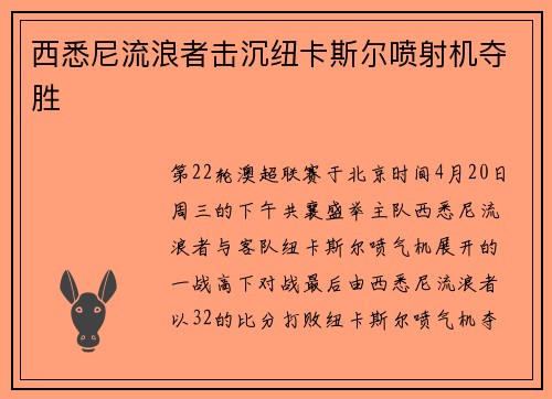 西悉尼流浪者击沉纽卡斯尔喷射机夺胜